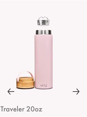 NWT Welly Traveler 20oz Insulated Bottle - Blush Pink